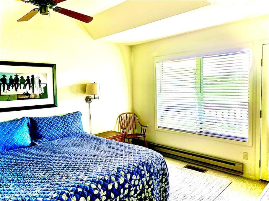 Talisman Amazing Views Walk To Uptown Sleeps 4 Villa Pagosa Springs Eksteriør billede